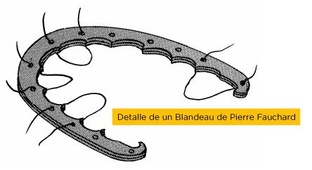 blandeau-ortodoncia